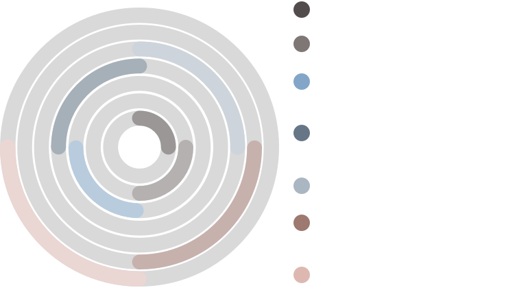 success-timeline