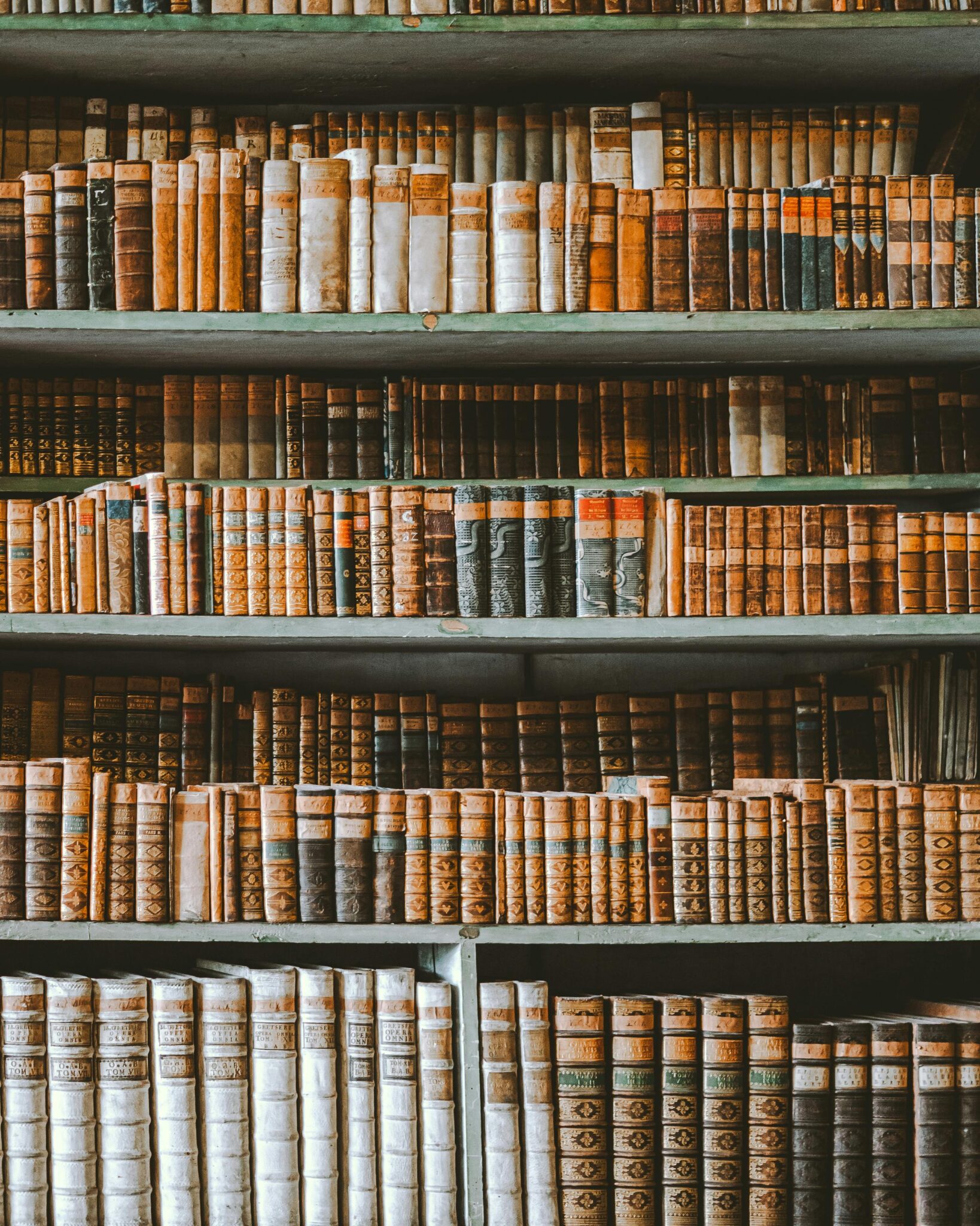 Shelves of antique books