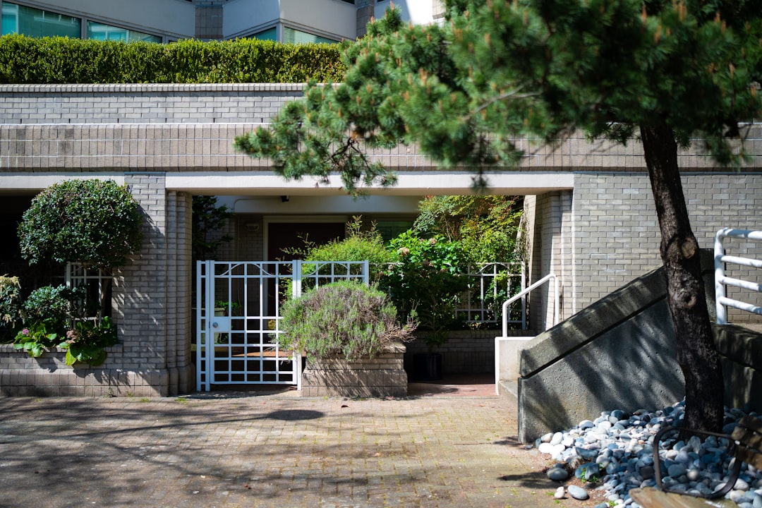 A tree stands in front of a building, providing shade and enhancing the landscape of the urban environment.