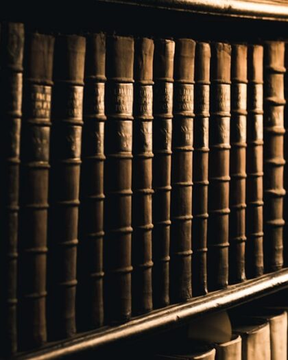 a row of books sitting on top of a shelf