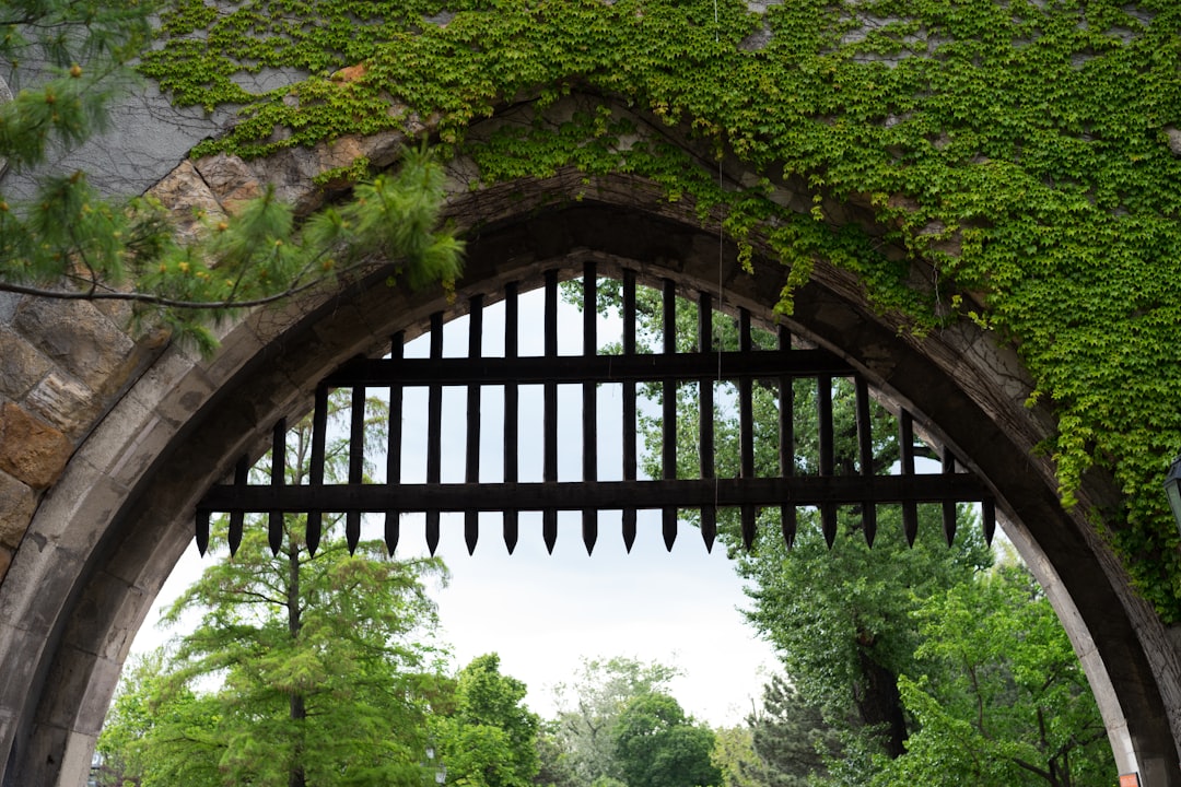black metal gate near green trees during daytime